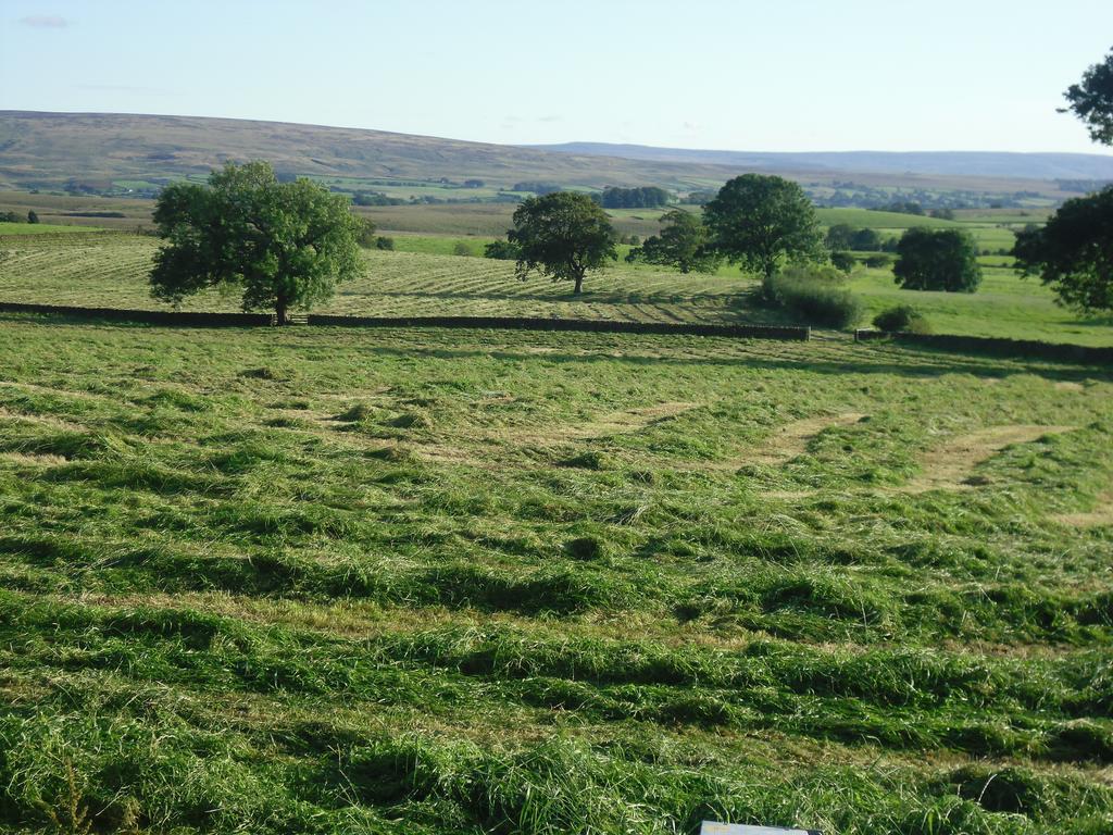 Bed and Breakfast Moor View Інглтон Екстер'єр фото